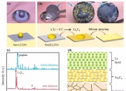 KIST-LLNL开发氟取代高压稳定氯基固体电解质 以用于全固态电池