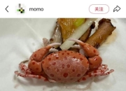 买海鲜混入毒蟹险酿大祸 螃蟹季食鲜小心这些海洋“毒物”