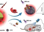 中国研究人员用玉米芯生产近红外透明滤光片 适合先进成像应用