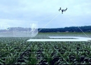 indie宣布对Expedera进行战略投资 为客户提供AI传感解决方案