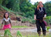 像织锦一样！福特开发编织复合纤维的方法