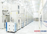 车载业务占据半壁江山，这家晶圆厂仍在积极拓展第三增长曲线